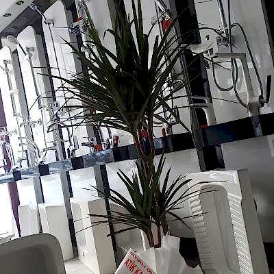 50048243_2027521947344384_7129189714682183680_n